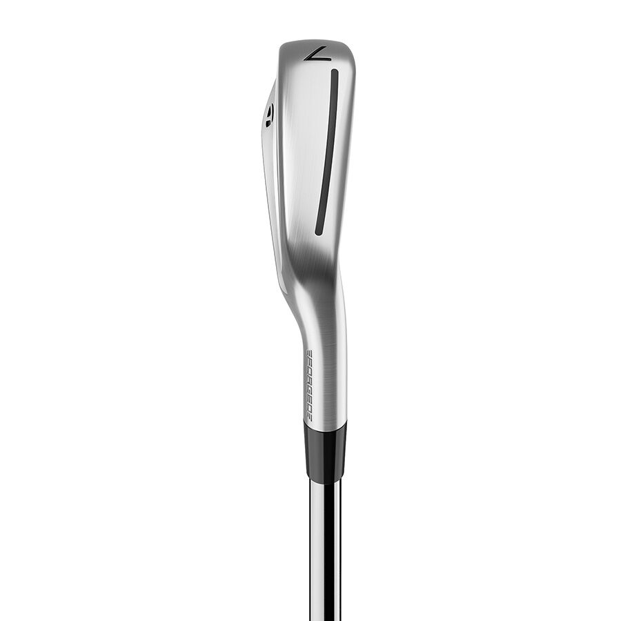 TaylorMade P790 Custom Irons