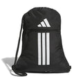 Alliance 3 Sackpack