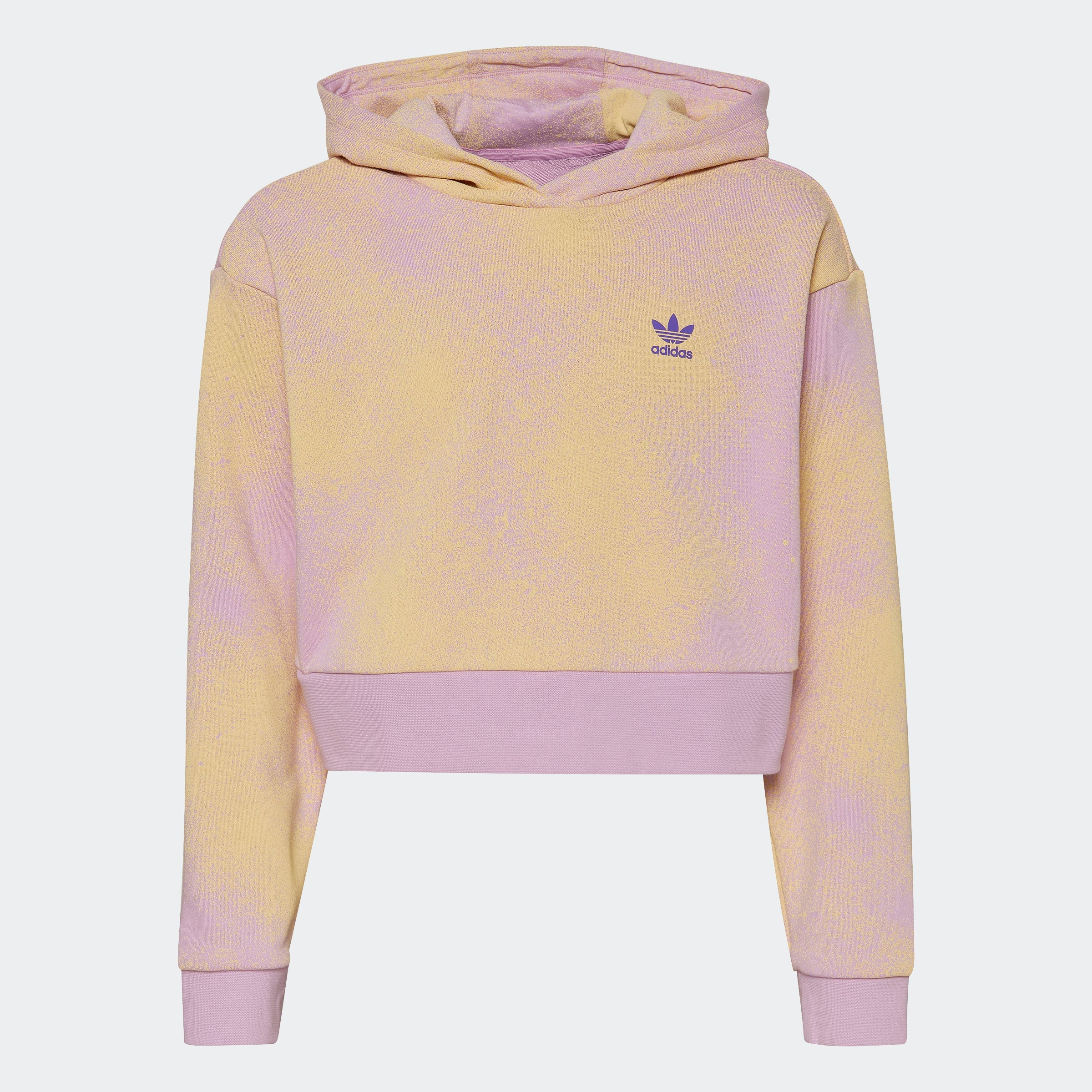 Kids' adidas Graphic Print Crop Hoodie