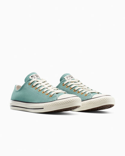 Chuck Taylor All Star Colourful Suede Low Top