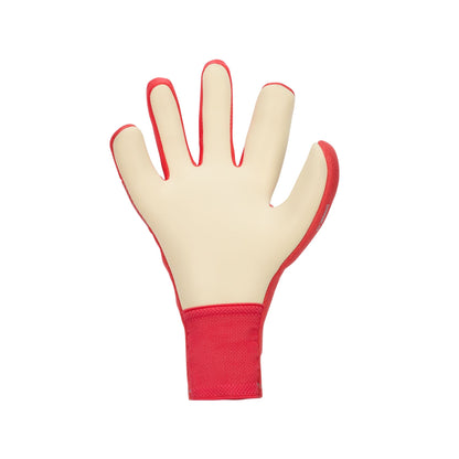 Nike Dynamic Fit Soccer Goalkeeper Gloves