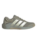 Dropset 4 Training Shoes