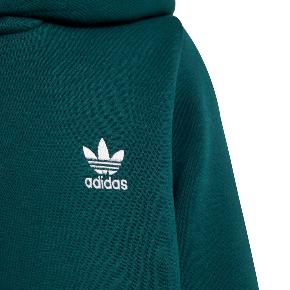 Pullover Hoodie & Cargo Pants Set (Toddler)