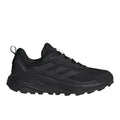 Terrex Anylander Hiking Shoes