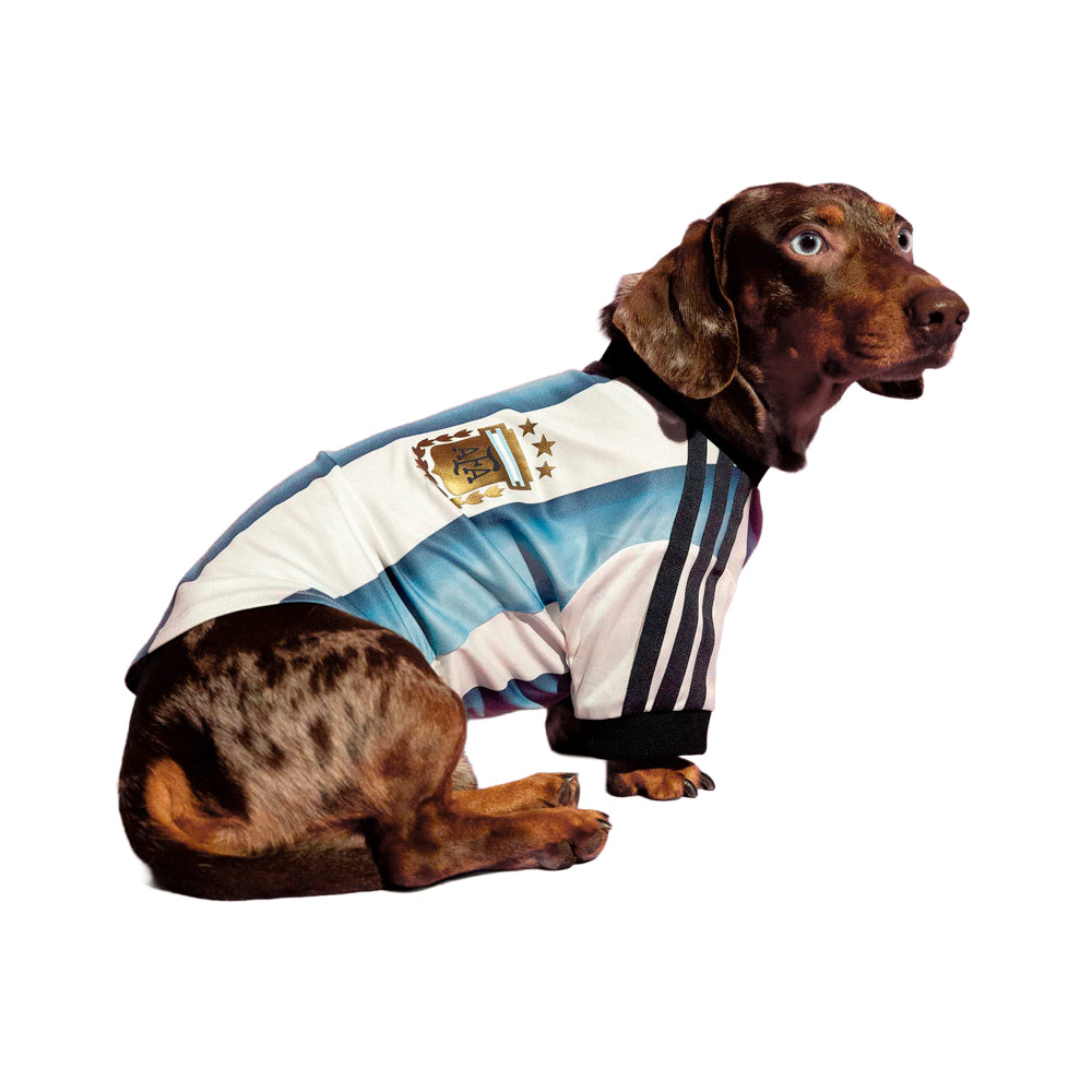 Pet Jersey Argentina (Dog)