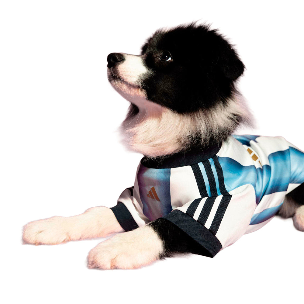 Pet Jersey Argentina (Dog)