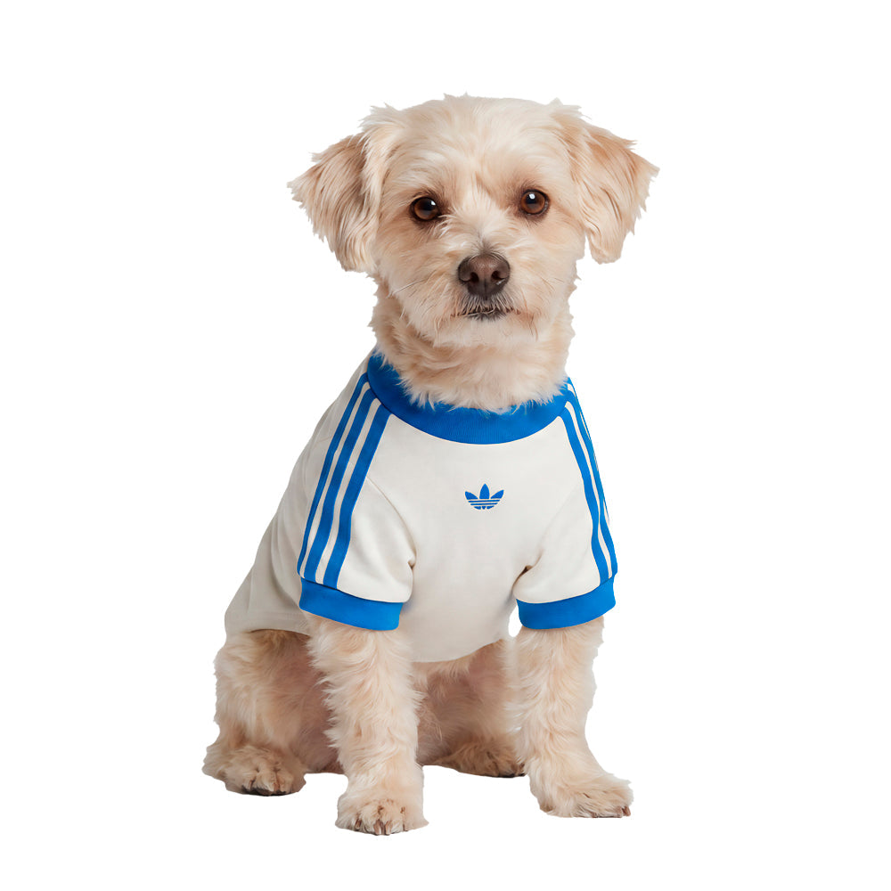 Pet Cali Tee