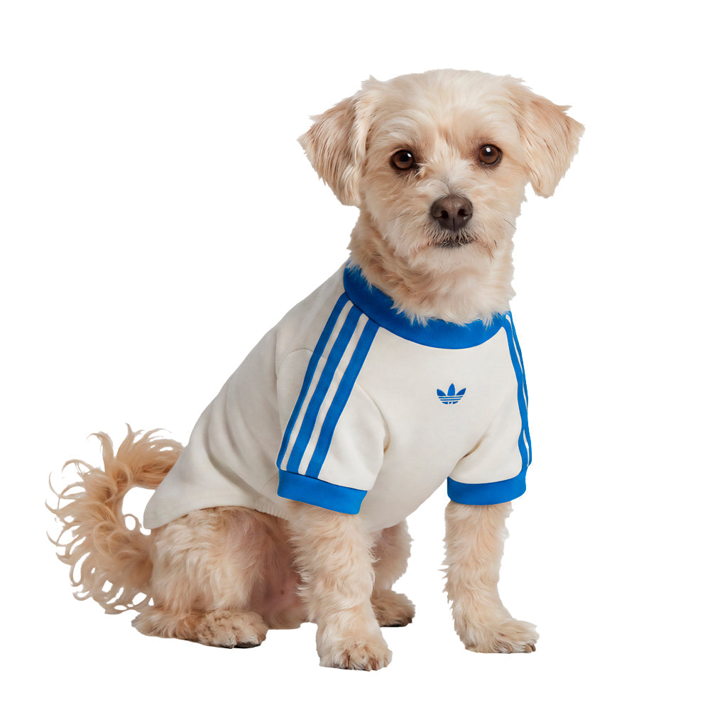 Pet Cali Tee