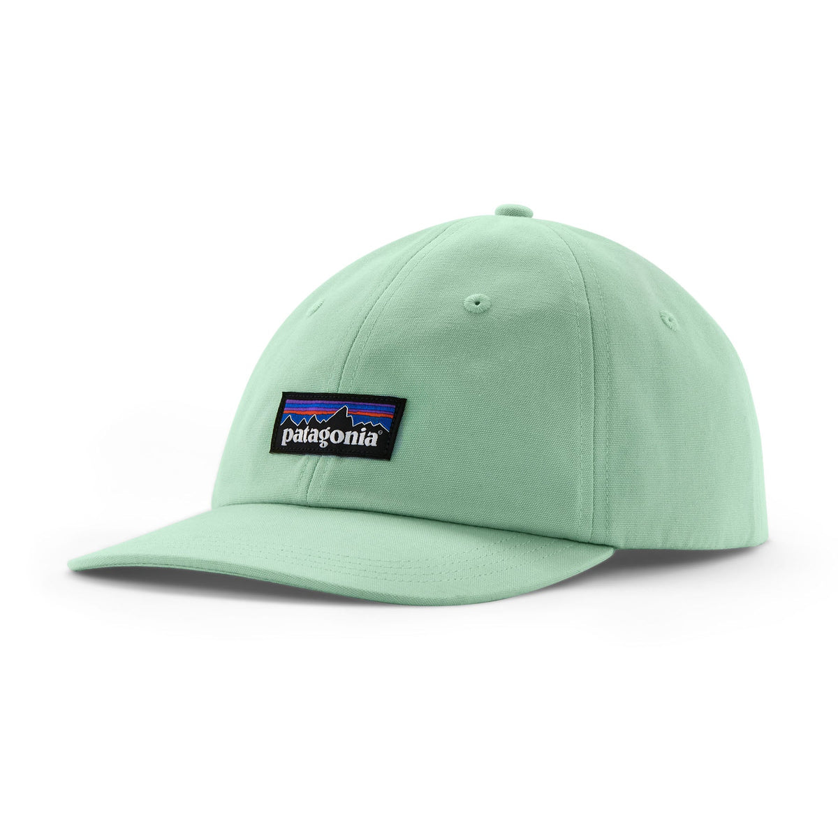Patagonia P-6 Label Trad Cap