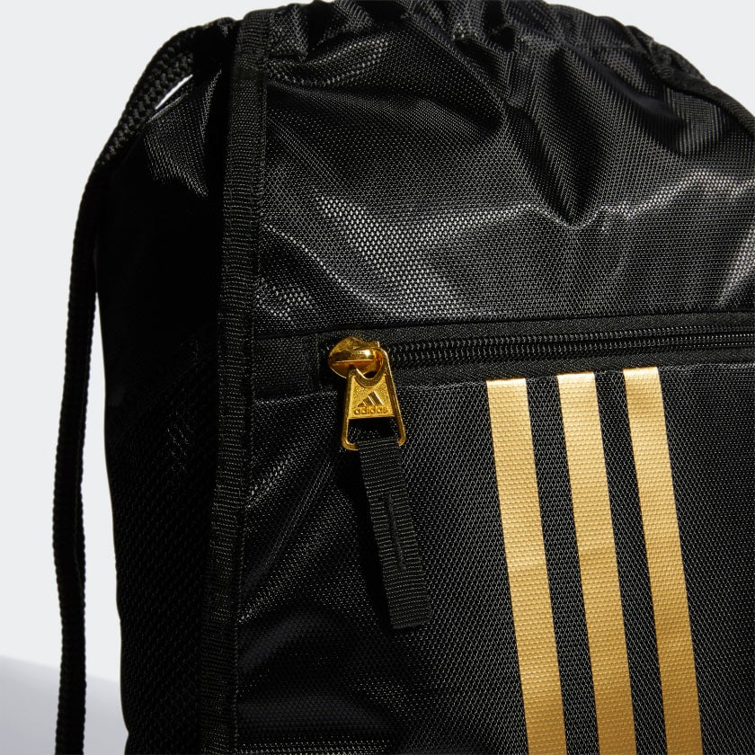 Alliance 2 Sackpack