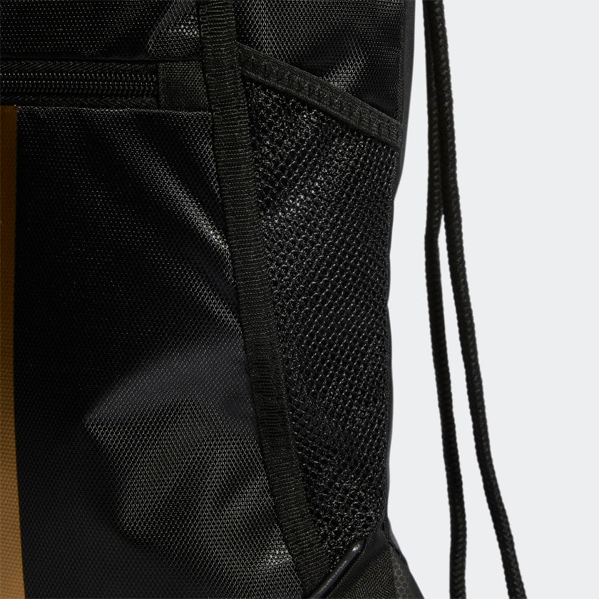 Alliance 2 Sackpack