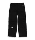 The North Face Mens Sv Maintnce Pt-Sv