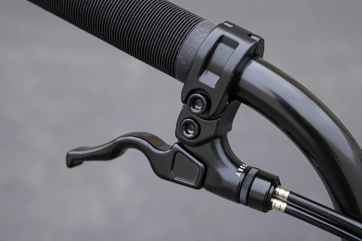 Sunday Forecaster Park Bike (Maca Perez Grasset Signature)